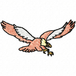 Eagle And Falcon Embroidery Design 6